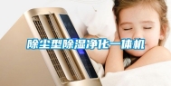 除尘型除湿净化一体机