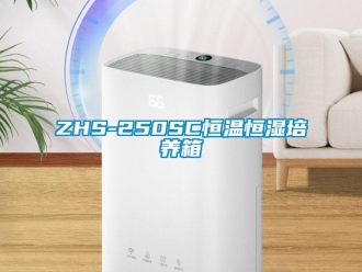 常见问题ZHS-250SC恒温恒湿培养箱