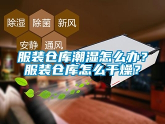 常见问题服装仓库潮湿怎么办？服装仓库怎么干燥？