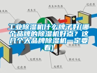 常见问题工业除湿机什么牌子好(哪个品牌的除湿机好点？这几个大品牌除湿机一定要看)