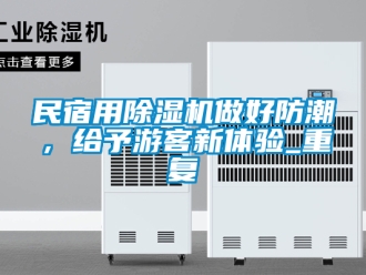 行业新闻民宿用除湿机做好防潮，给予游客新体验_重复
