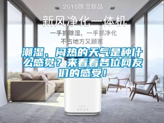 企业新闻潮湿、闷热的天气是种什么感觉？来看看各位网友们的感受！