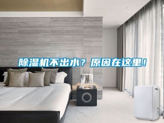 企业新闻除湿机不出水？原因在这里！