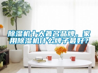 企业新闻除湿机十大著名品牌，家用除湿机什么牌子最好？