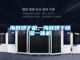 行业新闻海鲜烘干机，海鲜烘干除湿一体机