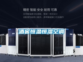 知识百科酒窖恒温恒湿空调