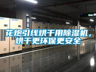 行业新闻花炮引线烘干用除湿机，烘干更环保更安全