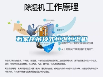 知识百科石家庄吊顶式恒温恒湿机