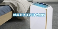 除湿机不工作什么原因
