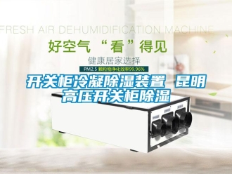 行业新闻开关柜冷凝除湿装置 昆明高压开关柜除湿