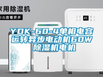 企业新闻YDK-60-4单相电容运转异步电动机60W 除湿机电机