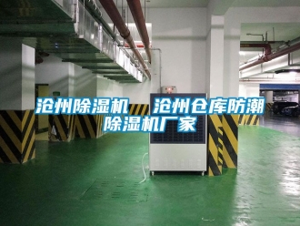 企业新闻沧州除湿机  沧州仓库防潮除湿机厂家