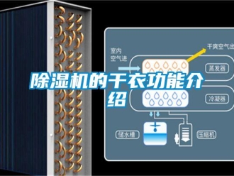 企业新闻除湿机的干衣功能介绍