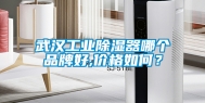 武汉工业除湿器哪个品牌好,价格如何？