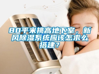 企业新闻80平米挑高地下室，新风除湿系统应该怎求么搭建？