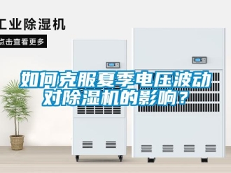 常见问题如何克服夏季电压波动对除湿机的影响？