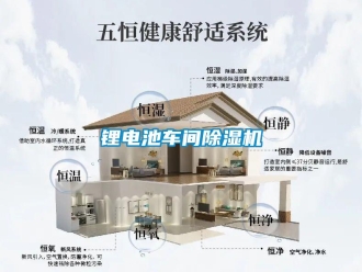 行业新闻锂电池车间除湿机