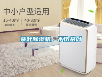 企业新闻茶叶除湿机，不伤茶叶