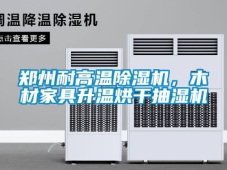 行业新闻郑州耐高温除湿机，木材家具升温烘干抽湿机