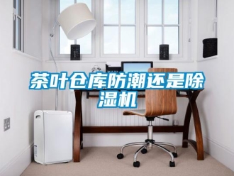 企业新闻茶叶仓库防潮还是除湿机