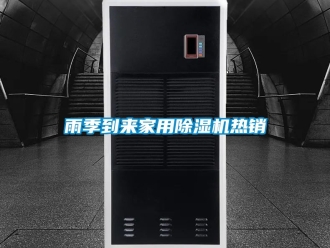 常见问题雨季到来家用除湿机热销