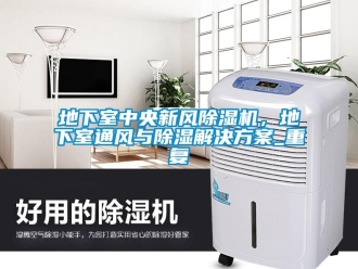 常见问题地下室中央新风除湿机，地下室通风与除湿解决方案_重复