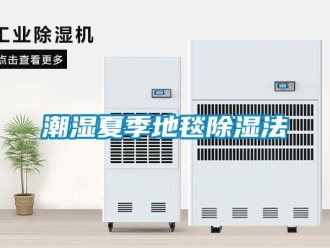 企业新闻潮湿夏季地毯除湿法