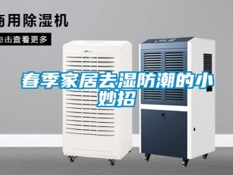 企业新闻春季家居去湿防潮的小妙招