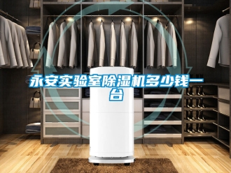 行业新闻永安实验室除湿机多少钱一台