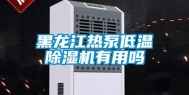 黑龙江热泵低温除湿机有用吗