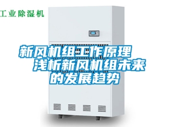 企业新闻新风机组工作原理   浅析新风机组未来的发展趋势