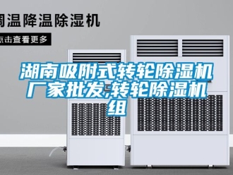 企业新闻湖南吸附式转轮除湿机厂家批发,转轮除湿机组