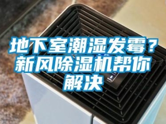 企业新闻地下室潮湿发霉？新风除湿机帮你解决