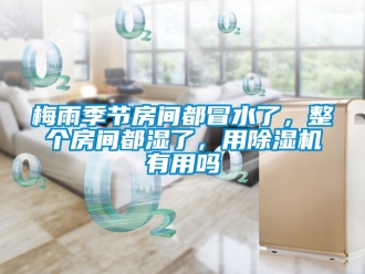 行业新闻梅雨季节房间都冒水了，整个房间都湿了，用除湿机有用吗