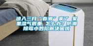 进入三月“春潮”来了 家里湿气很重 怎么办？防潮除霉小妙招解决困扰