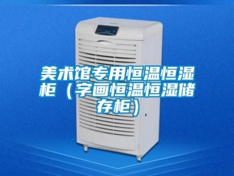 知识百科美术馆专用恒温恒湿柜（字画恒温恒湿储存柜）