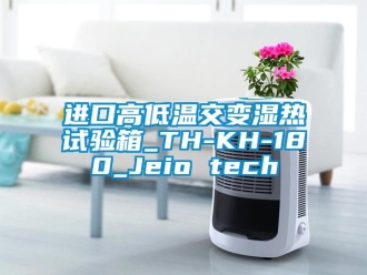 常见问题进口高低温交变湿热试验箱_TH-KH-180_Jeio tech