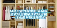 吊装风管式除湿机,新风管道式除湿机吊顶式除湿机—什么是吊顶式除湿机