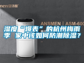 常见问题湿度“爆表”的杭州梅雨季 家中该如何防潮除湿？