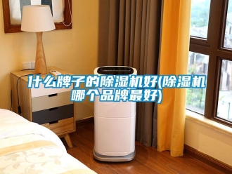 企业新闻什么牌子的除湿机好(除湿机哪个品牌最好)