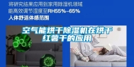 空气能烘干除湿机在烘干红薯干的应用