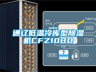 行业新闻通辽低温冷库型除湿机CFZ10BD