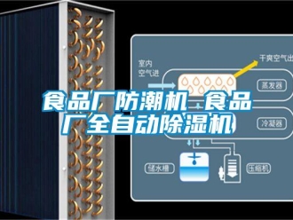 知识百科食品厂防潮机 食品厂全自动除湿机