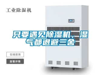 知识百科只要遇见除湿机，湿气都退避三舍