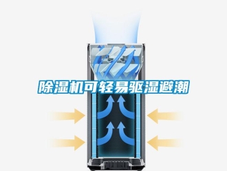 常见问题除湿机可轻易驱湿避潮