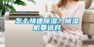 怎么快速除湿？除湿机要选对