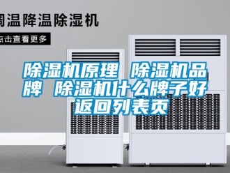 企业新闻除湿机原理 除湿机品牌 除湿机什么牌子好 返回列表页