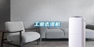 工业去湿机