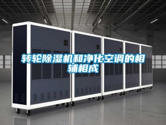 常见问题转轮除湿机和净化空调的相辅相成