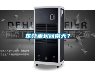 企业新闻东莞重现回南天？
